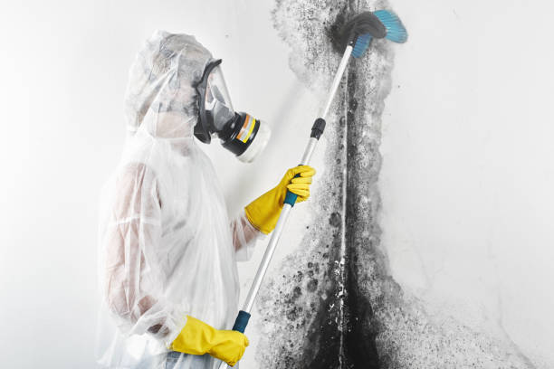 Best HVAC Mold Inspection and Cleaning  in Beverly, OH