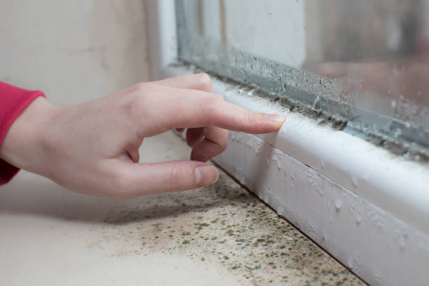 Forensic Mold Investigation in Beverly, OH