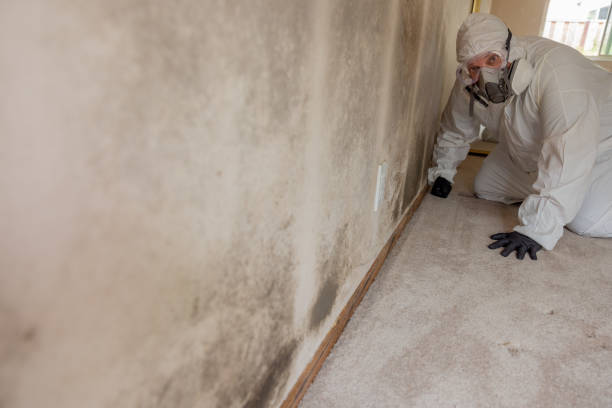 Best Indoor Air Quality Assessment  in Beverly, OH