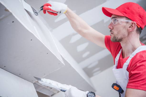 Best Attic Mold Removal  in Beverly, OH